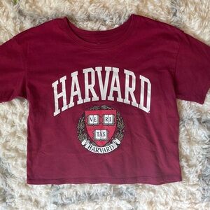 Burgundy Harvard Crop Top T-Shirt